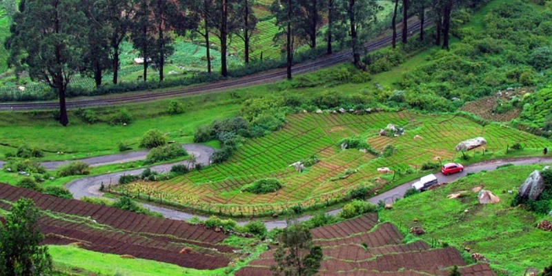 The holiday destinations in Ooty for peace lovers